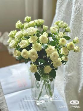 繁星多头玫瑰5支一份