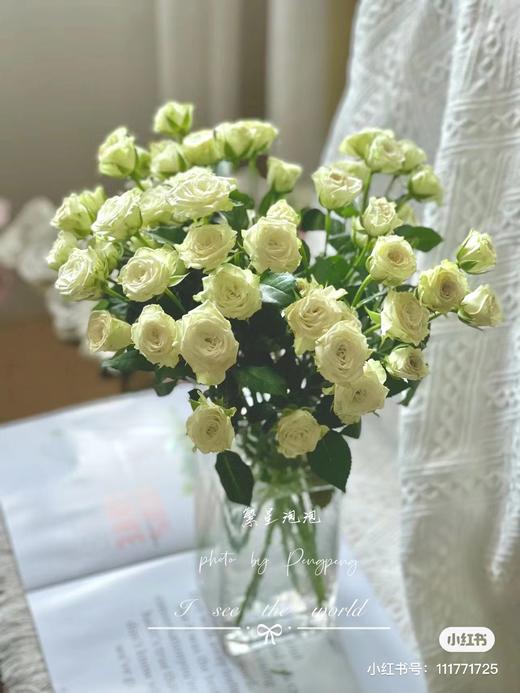 繁星多头玫瑰5支一份 商品图0