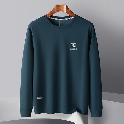 罗蒙春秋男装卫衣时尚绣花卫衣男士休闲百搭圆领长袖t恤男 商品图4