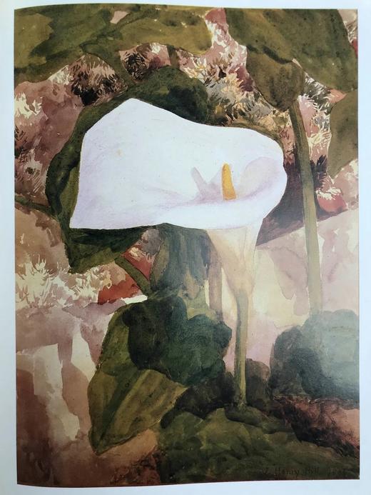 自然映像：美国艺术中的花朵 149幅插图 精装16开 商品图12