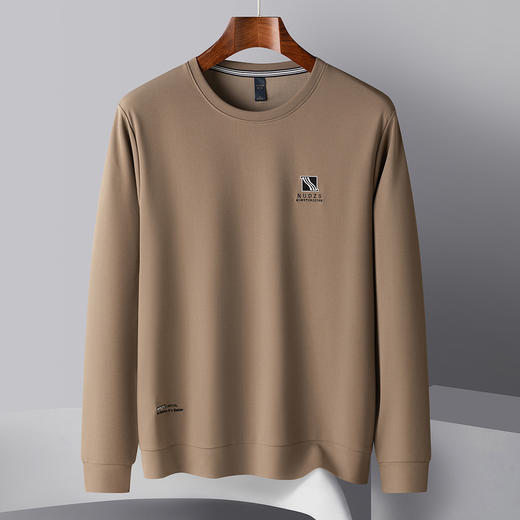 罗蒙春秋男装卫衣时尚绣花卫衣男士休闲百搭圆领长袖t恤男 商品图7