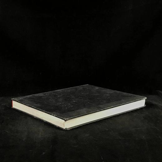 大都会：巴黎肖像 数百幅彩色插图 精装大16开 商品图1