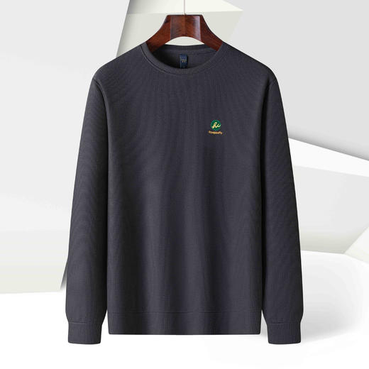 14LP3755714LP37557【提花条纹】罗蒙春秋男装卫衣前胸口袋卫衣男士时尚休闲百搭卫衣男圆领长袖T恤 商品图2