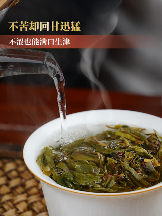 【猫耳朵】2024年易武头春古树贡茶倚邦中的"小妖精"仅有0.01％的人喝过！云南小叶种之蕞普洱茶生茶357g/饼 拍5发6 商品图3