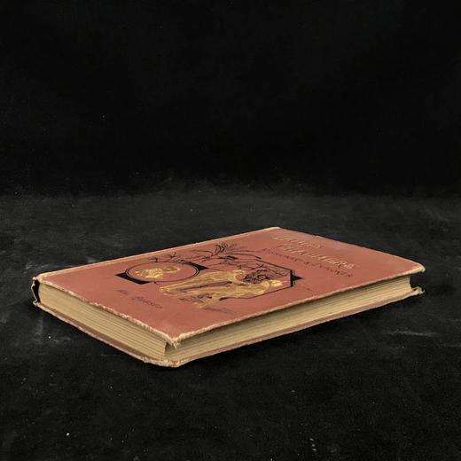 约19世纪后期 詹姆斯·查尔默斯：传教士与探险家 数十幅插图 漆布精装32开 商品图1