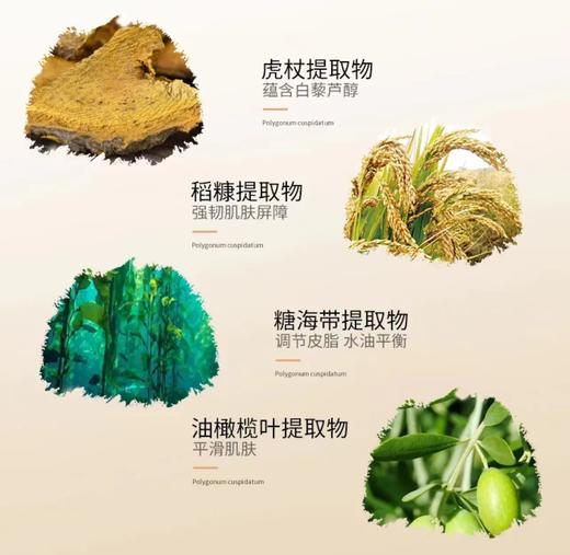 MAC新版无瑕粉底液系列 商品图1