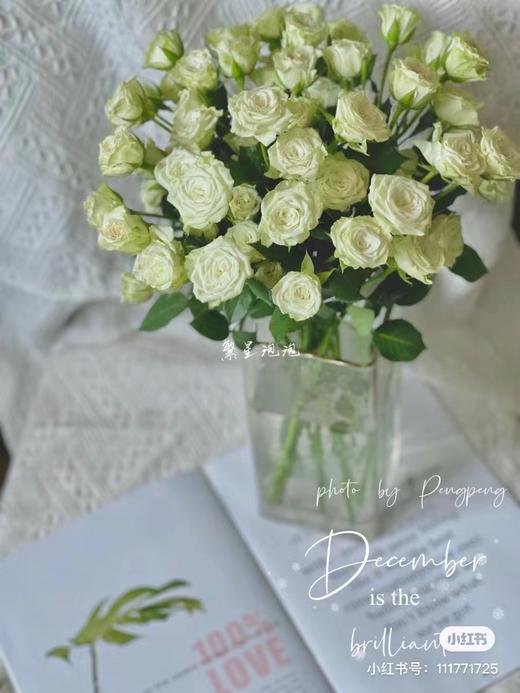 繁星多头玫瑰5支一份 商品图1