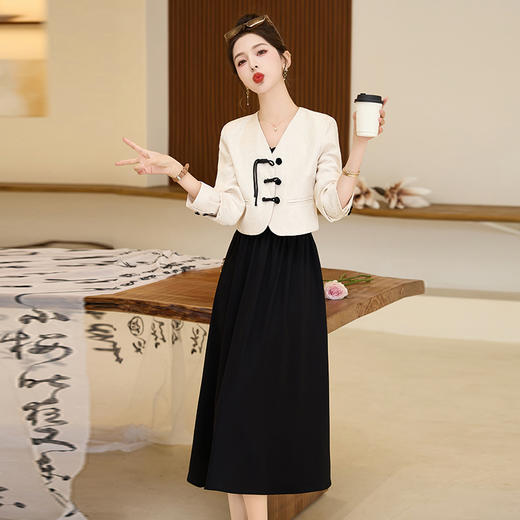 春装新款，时尚潮流简约气质两件套中式盘扣高级感套装套裙HR-HRYZ9619 商品图3