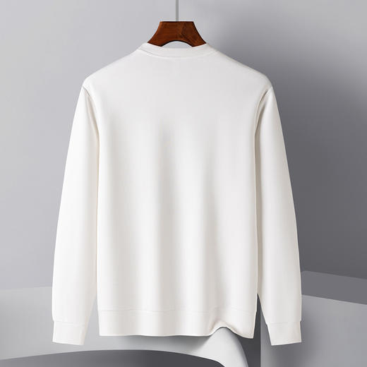 14LP3723414LP37234【桑蚕丝混纺】罗蒙春季男装绣花卫衣男士舒适休闲百搭圆领长袖T恤 商品图1