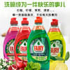 德国fairy浓缩洗洁精餐具洗碗液450ml 商品缩略图2