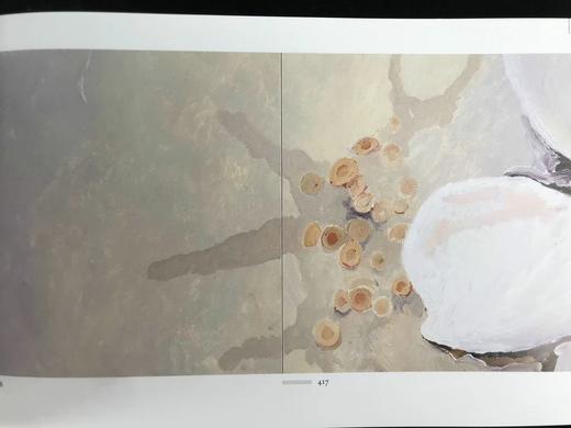 时代之石，时间之沙：芭芭拉·佩奇画集 544幅插图 精装16开 商品图9