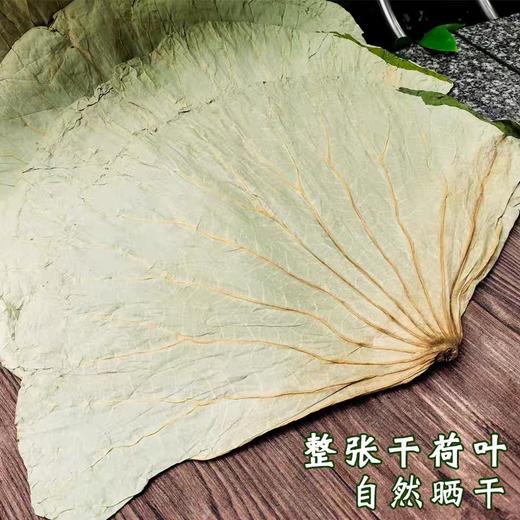 干荷叶 商品图0