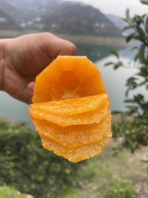 周日取货：【今晚橙】一箱毛重3斤左右，高糖甜橙，橙味浓郁。 商品图3