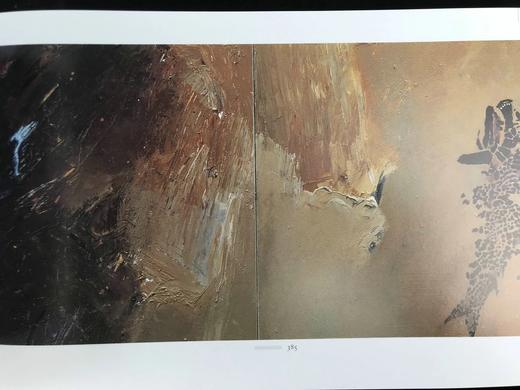 时代之石，时间之沙：芭芭拉·佩奇画集 544幅插图 精装16开 商品图5