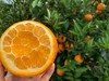 周日取货：【今晚橙】一箱毛重3斤左右，高糖甜橙，橙味浓郁。 商品缩略图2