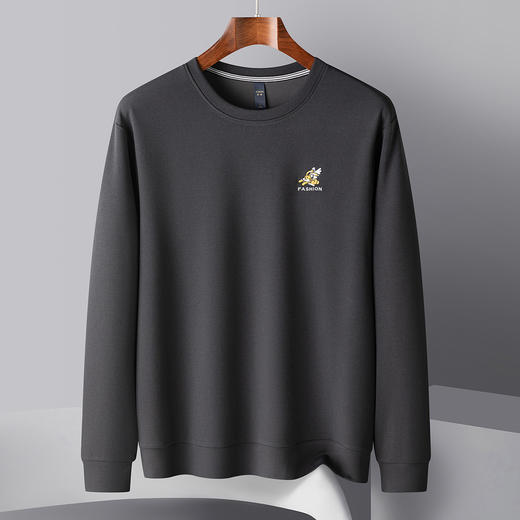 罗蒙春秋男装时尚绣花卫衣男士纯色简约休闲百搭圆领长袖t恤男 商品图4