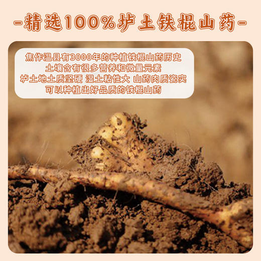 怀府街·铁棍山药原浆粉 商品图2