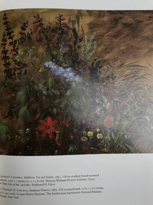自然映像：美国艺术中的花朵 149幅插图 精装16开 商品图9