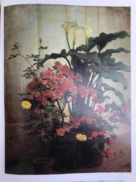 自然映像：美国艺术中的花朵 149幅插图 精装16开 商品图10