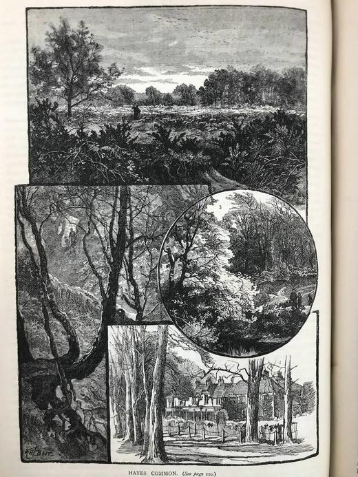 约19世纪后期 伦敦风物志（卷2） 数百幅精美版画插图 精装16开 商品图10