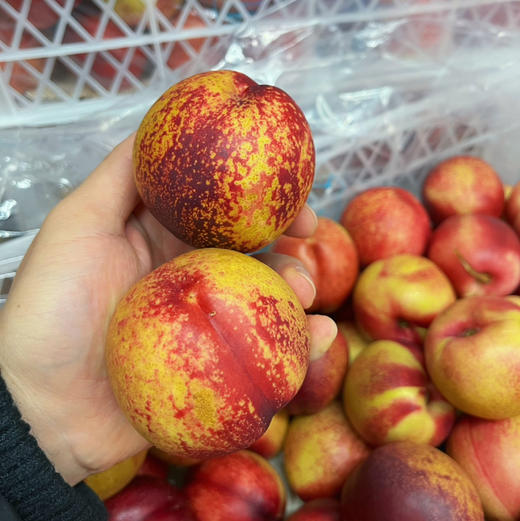 【白蜜油桃】脆甜白蜜油桃，入口脆甜，桃味浓郁，放软吃汁水更多，桃味很正！ 商品图2