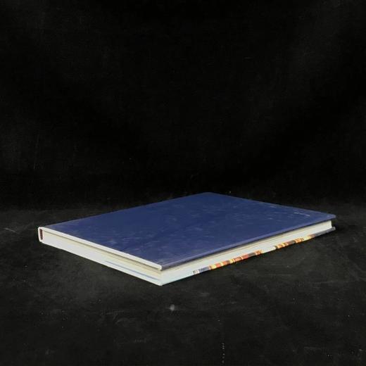 英国皇家阿尔伯特音乐厅图集 数百幅插图 精装大16开 商品图2