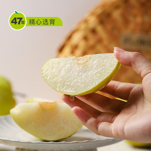 【顺丰包邮】山西特产隰县玉露香梨一级8斤12颗装（80-85）起礼盒装新鲜水果送礼 商品图0