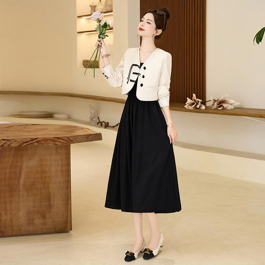 春装新款，时尚潮流简约气质两件套中式盘扣高级感套装套裙HR-HRYZ9619 商品图2