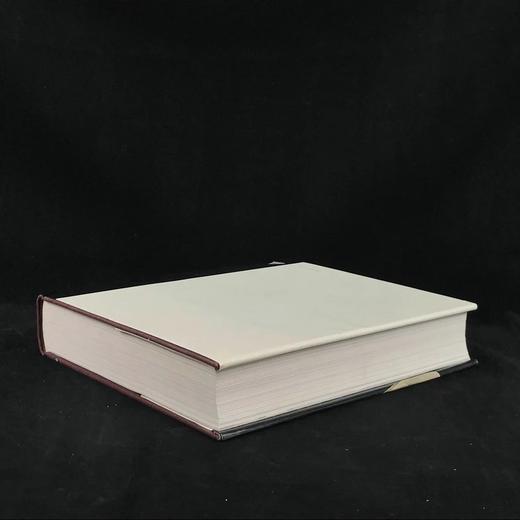 华盛顿国家画廊图集（1984） 1135幅插图（1035幅彩色） 精装大16开 商品图2