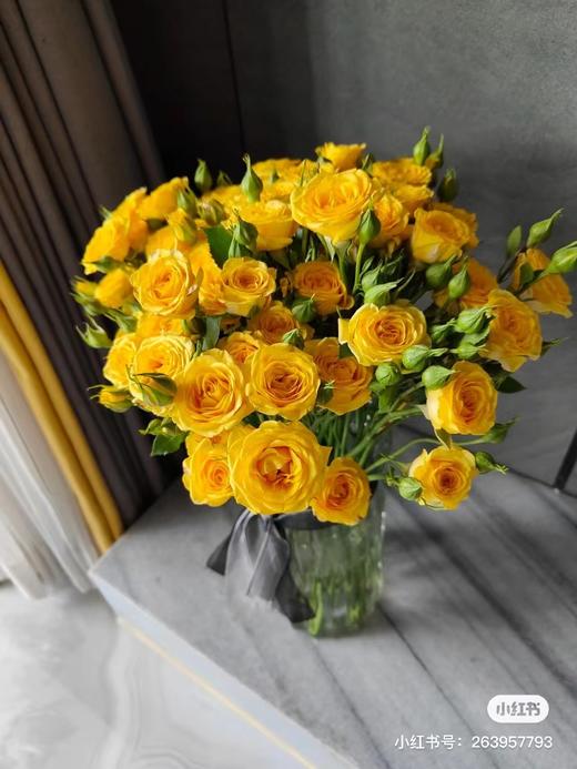 梦幻芭比5支 商品图2