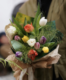 💞专属3·8女神节鲜花合集🕺春天的第一个节日， 🔺“花有约，春不误”，愿你眼里总有光芒，✅手里总有鲜花 ✨心怀浪漫，做自己永远的女神