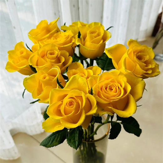 月华黄色玫瑰花10支 商品图1