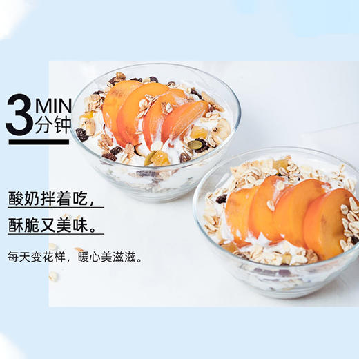 丹麦味道王国有机燕麦片1kg 商品图6