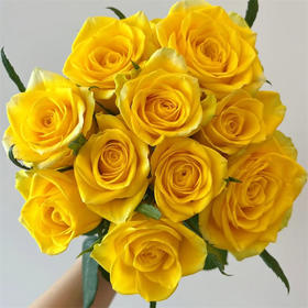 月华黄色玫瑰花10支