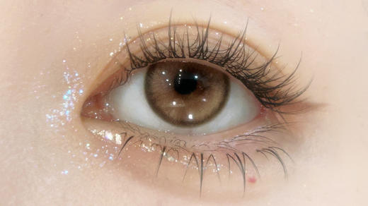 Ginomii半年抛品牌-尖叫吐司 商品图4