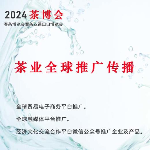 茶业全球推广传播 商品图0