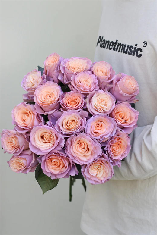 厄瓜多尔染色PEACHY PINK粉芯桃子玫瑰10支 商品图0