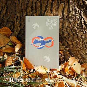 寂静连绵的山脉 单读23 彭剑斌  中短篇小说集