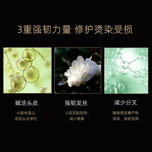 【限时大促！买一送一】法国温莎森林DORVIL彩瓶黑松露洗护520ml丝润盈亮控油强韧丰盈 无硅油洗发水护发素 买赠到手两瓶正装！品牌方直发 商品图6