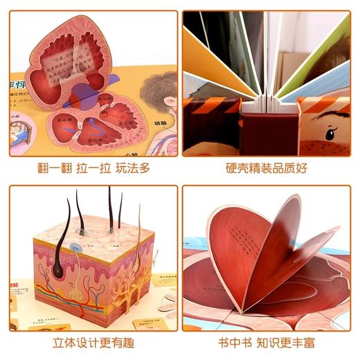 2023新版我们的身体3D立体书 商品图4