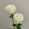 精品花材雪山玫瑰花白色粉色可选 商品缩略图8