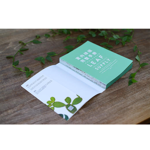 室内绿植完整手册 我的植物生活新提案（澳）索菲娅·卡普兰 商品图6