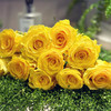 月华黄色玫瑰花10支 商品缩略图6