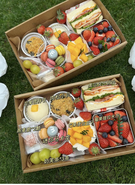 野餐盒11 商品图0
