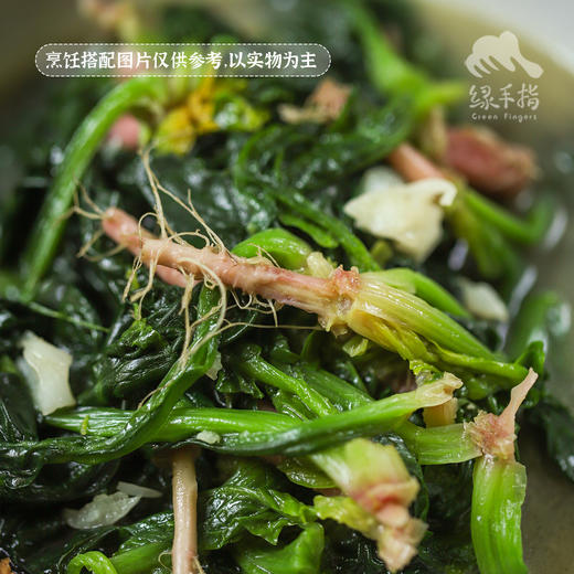 生态趴地菠菜（带根） | 合作生产* Eco- onion | Coproduction 商品图3
