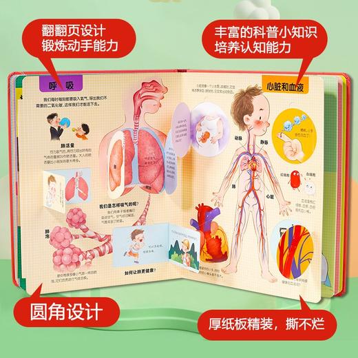 儿童图解探秘系列立体书 探秘我的身体 商品图1