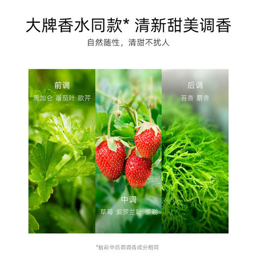 【限时大促！买一送一】法国温莎森林DORVIL彩瓶黑松露洗护520ml丝润盈亮控油强韧丰盈 无硅油洗发水护发素 买赠到手两瓶正装！品牌方直发 商品图8