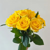 月华黄色玫瑰花10支 商品缩略图2