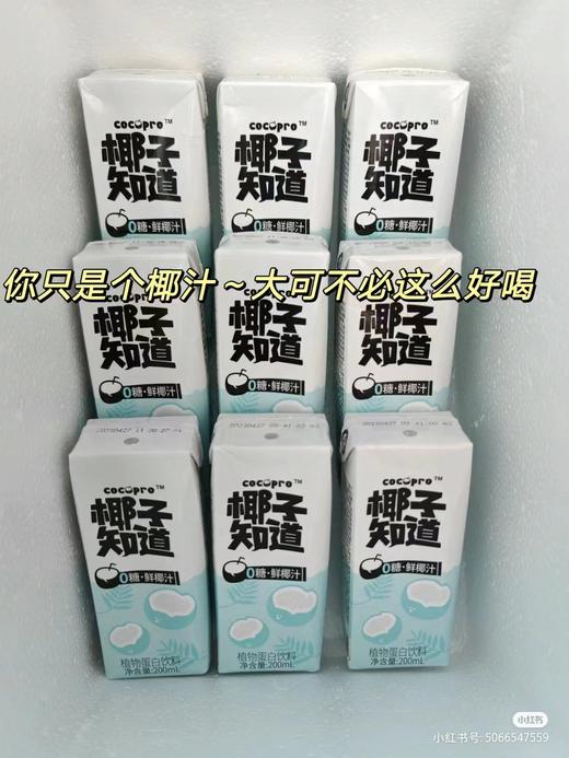 鲜椰汁一箱 商品图1