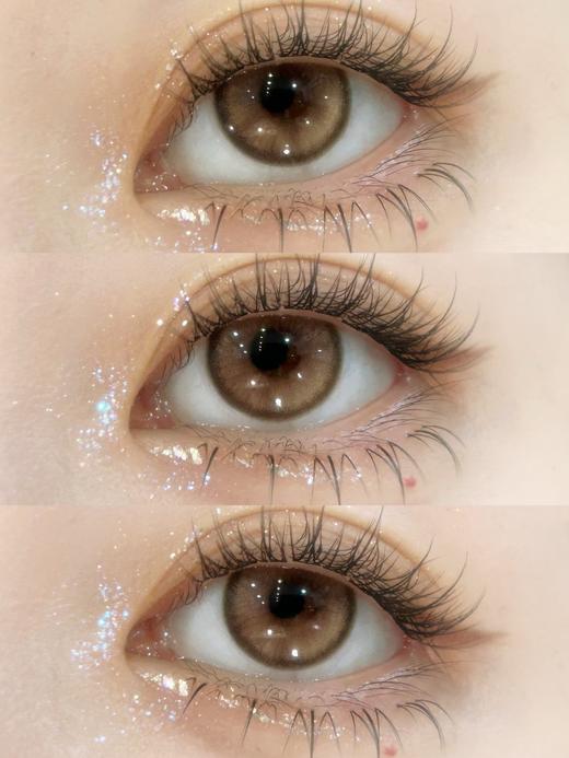 Toast尖叫吐司 半年抛 │ Ginomii 🐰牌 商品图1